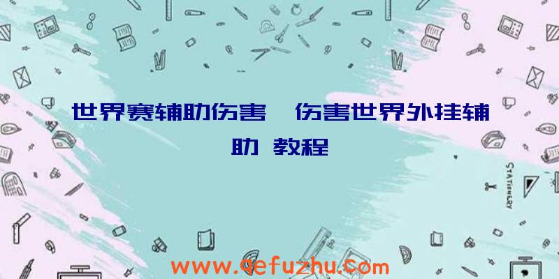 世界赛辅助伤害、伤害世界外挂辅助